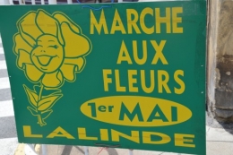 chateau  Banes,marché fleurs Lalinde 051.JPG