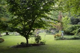 tour du jardin en juin 118.JPG