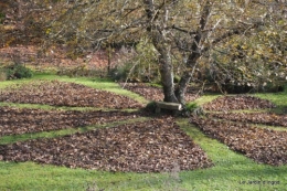 première gelée,land art du noyer 049.JPG
