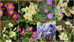 2013-02-15.jpg