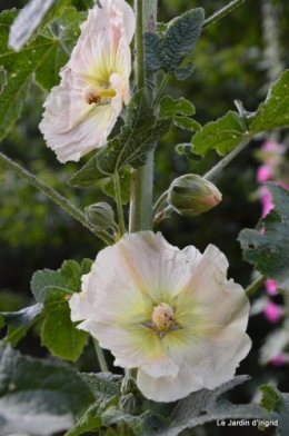 jardin,visites enfants 111.JPG