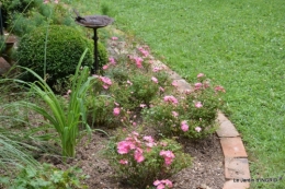 jardin,les filles,gerbera,Lalinde 169.JPG