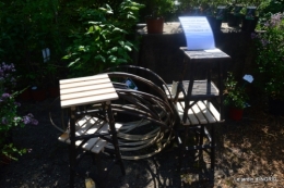 Fouleix,cygnes,Inès,jardin 080.JPG