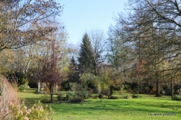 oiseaux,travaux,arbustes,les dernières fleurs 065.JPG
