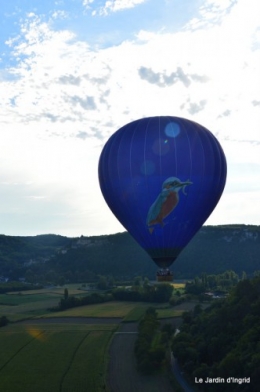 Vol mongolfière,compo fleurs grenouille 051.JPG