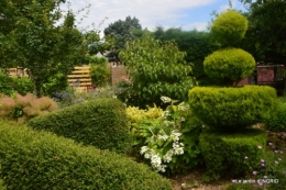 inondation,jardin,oeufs cygnes,chez Nathalie 097.JPG