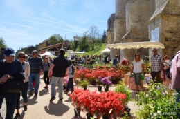 gastéropodes,les cygnes,marché,l'Abbaye Nouvelle,jerdin 107.JPG