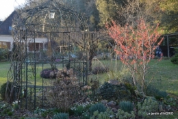 coeur,jardin,Sol 068.JPG