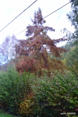 couleurs d'automne,bouquet,lune 027.JPG