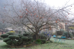jardin givré,oiseaux 025.JPG