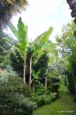 aout jardin 025.JPG