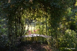 jardin matin,Romane ,nicky 008.JPG