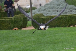 les Milandes,Mompazier,jardin 249.JPG