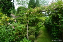Tour du jardin mai avant et apres tonte 101.JPG
