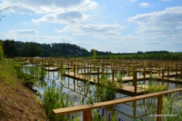 les jardins d'eau de Carsac 140.JPG
