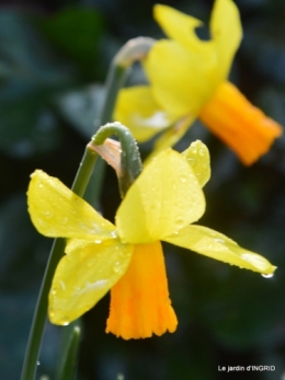 pot miroir,oiseaux,jonquilles,Marylaur,compo 019.JPG