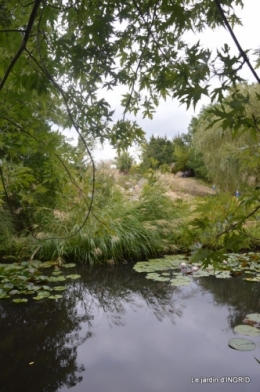 orage,puces,bouquet,Anniv.Ines,Brantome,Jardins d'eau 257.JPG