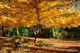 troc,automne,serre 076.JPG