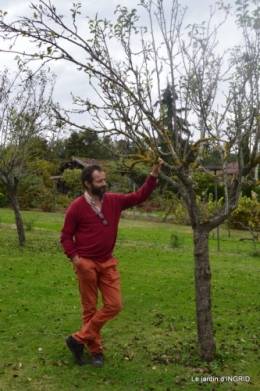 La Romieu,Coursiana,chez Renée,Ginkgo biloba 275.JPG