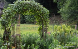jardin,les filles,gerbera,Lalinde 029.JPG