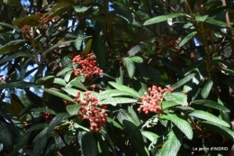 jardin de planbuisson