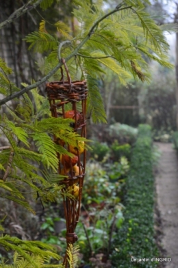 Brouillard,cypres chauve,jardinage 007.JPG
