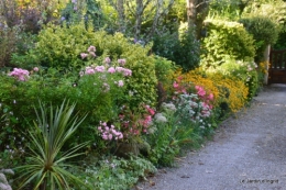 mon coin,Monique,les oies,mon jardin 062.JPG