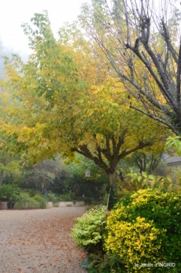 brouillard le matin d'automne 032.JPG