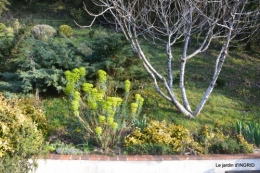 saumon,paquerettes,jardin blanc 046.JPG