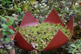 jardin,St Avit Seigneur brocante,Neuvic fête des plantes 089.JPG