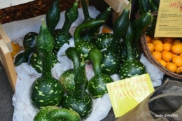 fête de la citrouille,jardinage,jardin 033.JPG