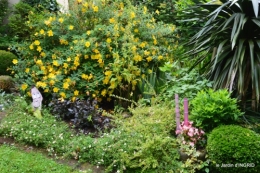 jardin pluie,Inès,Bébés cygnes,bouquet,canal 042.JPG
