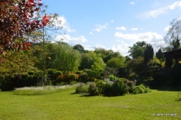 jardin avril et mai, 123.JPG