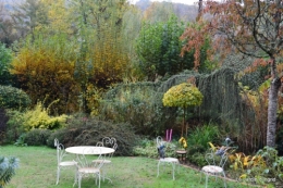 travaux,érable rouge,abeilles,Monpazier,jardin 010.JPG