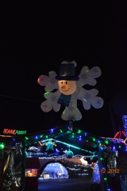 Noel,ferme illuminée