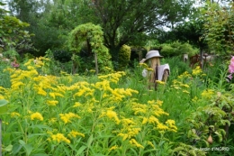 Issygeac,st Avit Seigneur,carpes kois,jardin,fleurs rouges 133.JPG