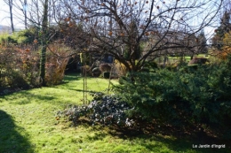 dernières automne,givre,chat 040.JPG