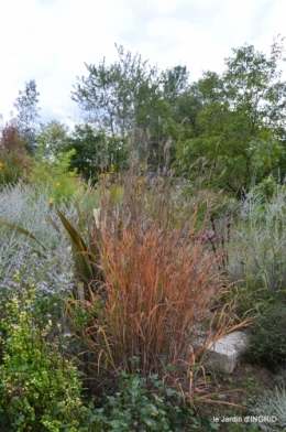 canal,au fond de l'Or,Julie,feuilles 107.JPG