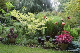 Meyrals,le Bugue,jardin 103.JPG