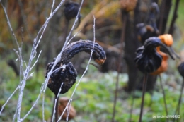 décos Noel au jardin,Sarlat,étoile en osier 017.JPG