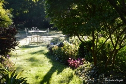 jardin,puces Lasmonzie,asters 005.JPG