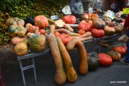 fête de la citrouille,jardinage,jardin 008.JPG
