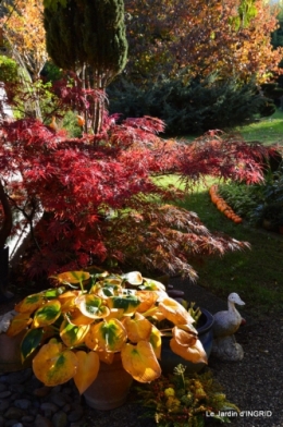 les arbres en automne,cabane 058.JPG