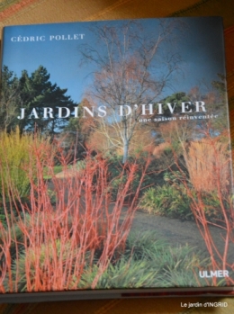 Noel st Astier,oiseaux,coq,jardin 131.JPG