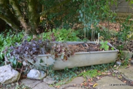La Romieu,Coursiana,chez Renée,Ginkgo biloba 222.JPG