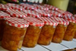 confiture,bouquet,petit jardin 025.JPG