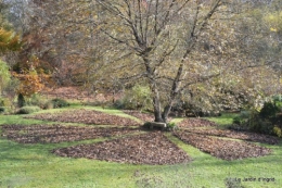 première gelée,land art du noyer 050.JPG