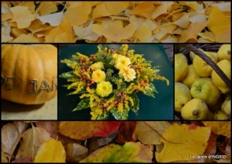 2015-11-13 brume,dentelles,fleurs,Noel Jardiland.jpg