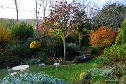 jardin automne ,petits roses 033.JPG