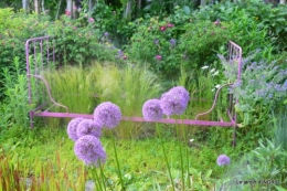 jardin en mai,visites bus,petit jardin 130.JPG